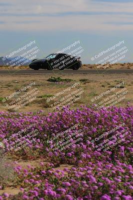 media/Jan-08-2023-SCCA SD (Sun) [[8f6a5b9391]]/Intermediate Group/Session 2 (Short Straight)/